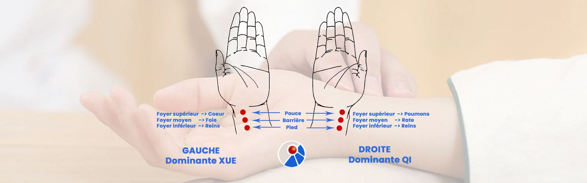 synthèse de palpation du pouls